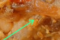 Hasil Screenshot video Ayam menu MBG yang berisi ulat. (Madurakita.com).