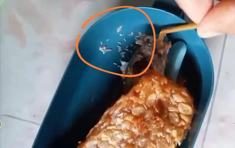 Menu MBG yang diduga berulat (madurakita.com)